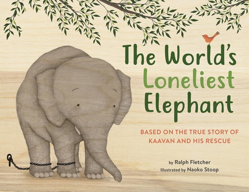 World&#39;s Loneliest Elephant: Based on the True Story of Kaavan and His Rescue