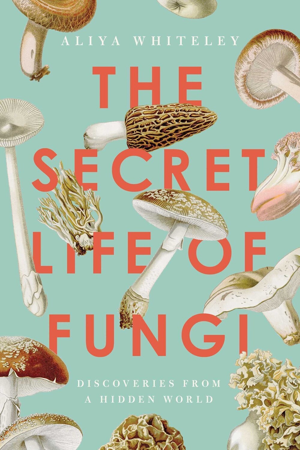 Secret Life Of Fungi