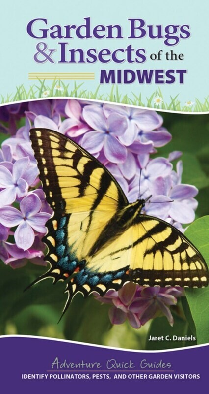 Garden Bugs &amp; Insects of the Midwest