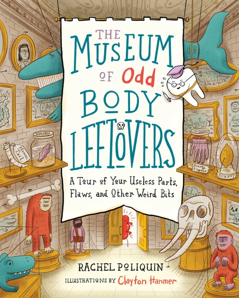 Museum Of Odd Body Leftovers 