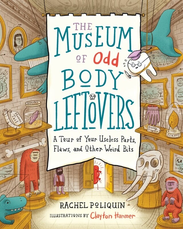 Museum Of Odd Body Leftovers 