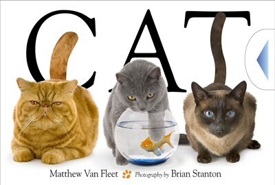Cat by Van Fleet