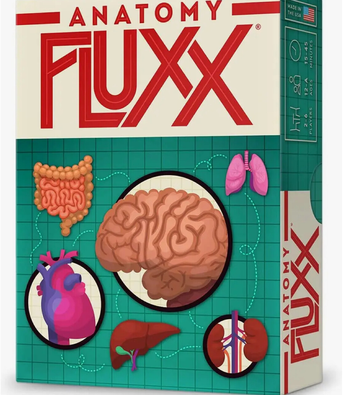 Anatomy Fluxx