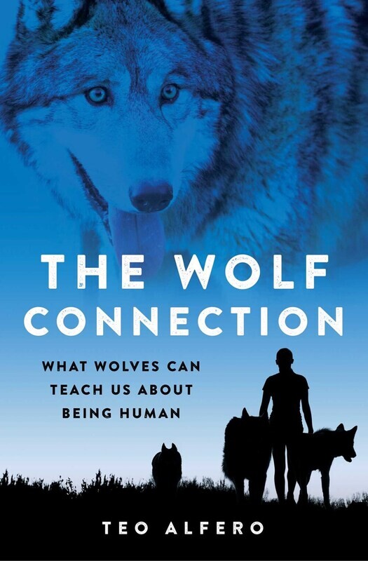 Wolf Connection