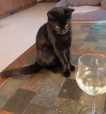 Shelly’s Picks!  She loves a great read and a glass of wine