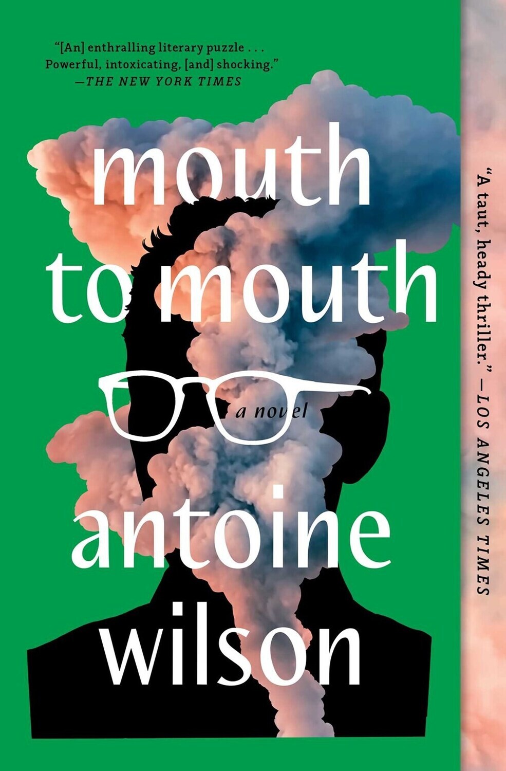 Mouth to Mouth, a novel