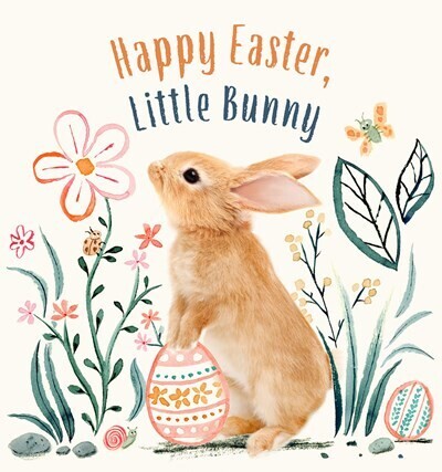 Happy Easter, Little Bunny  Board Book