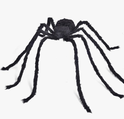 Giant Black Furry Spider