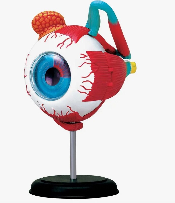 4D Eyeball 