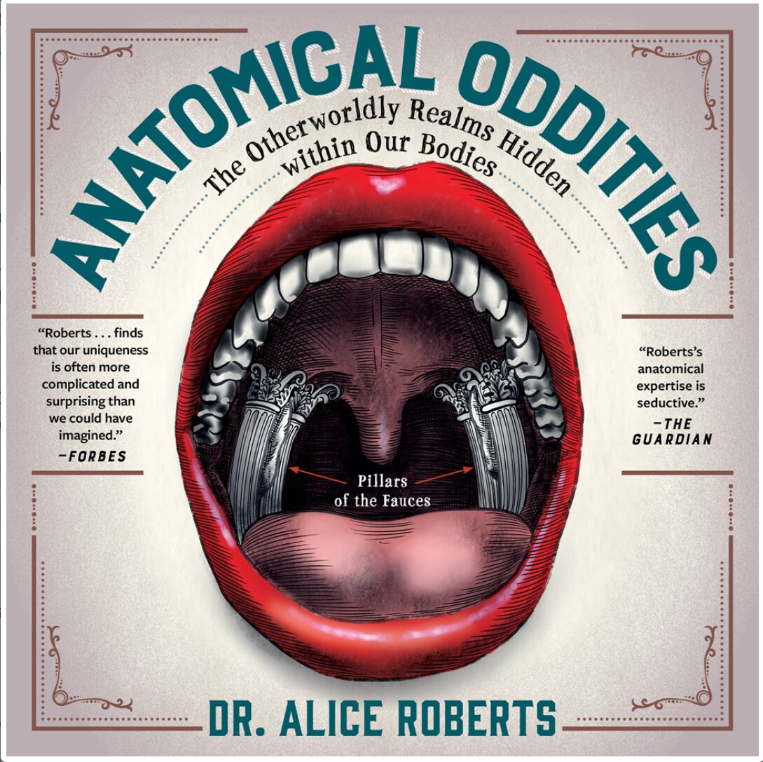 Anatomical Oddities: The Otherworldly Realms Hidden within Our Bodies 