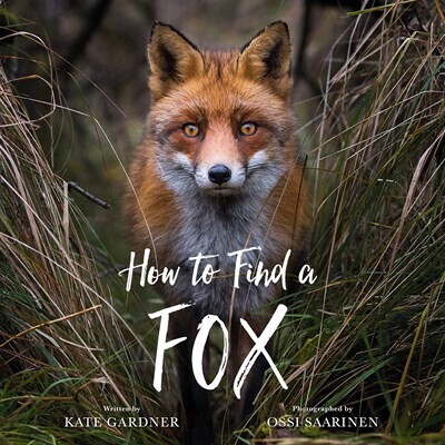 How to Find a Fox Picture Book