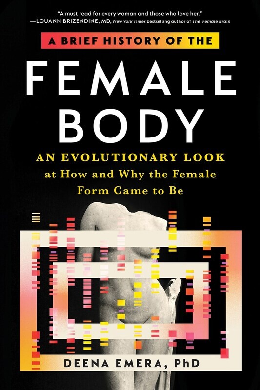 A Brief History Of The Female Body 