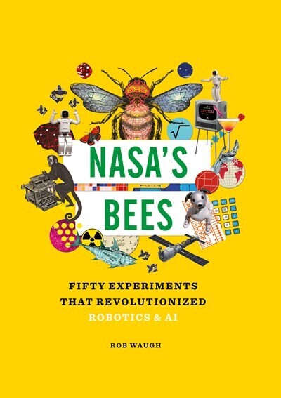 NASA’s Bees