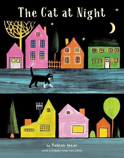 Cat at Night