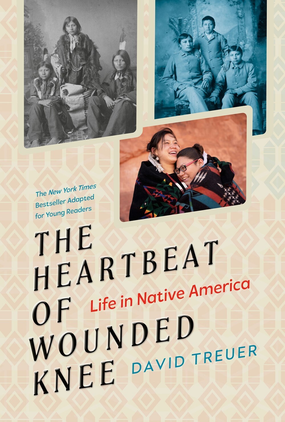 Heartbeat of Wounded Knee: Life in Native America