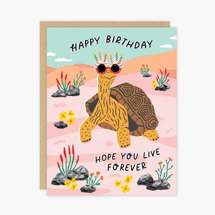 Birthday Tortise Card