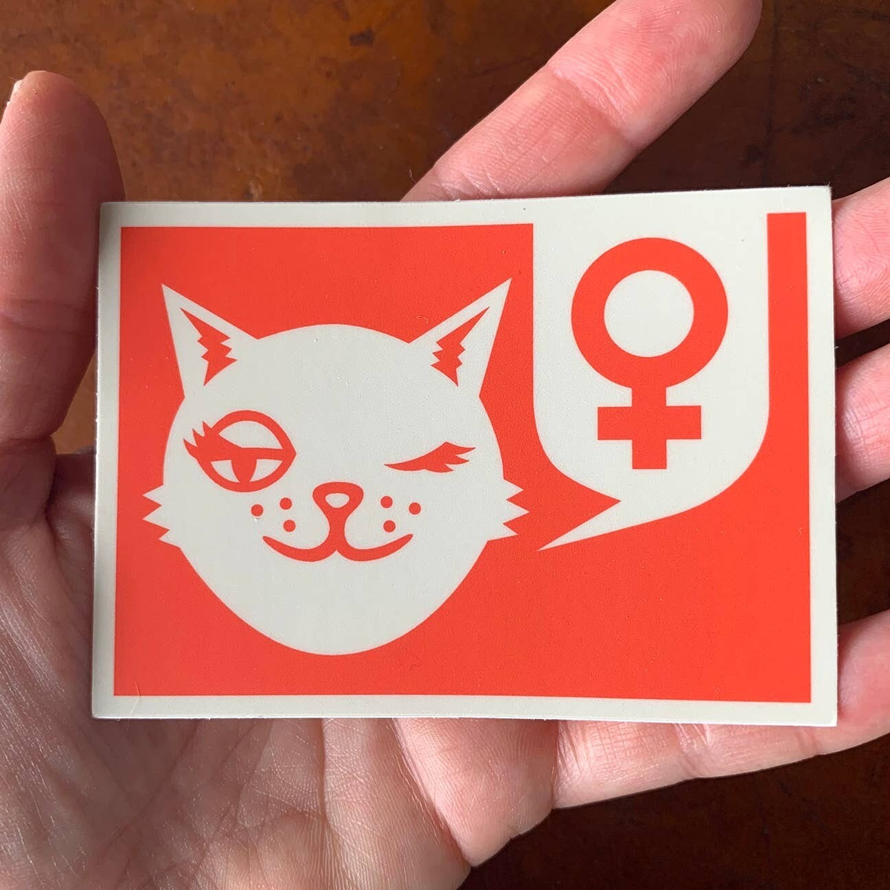 Feminist Bumper Sticker With Winking Cat