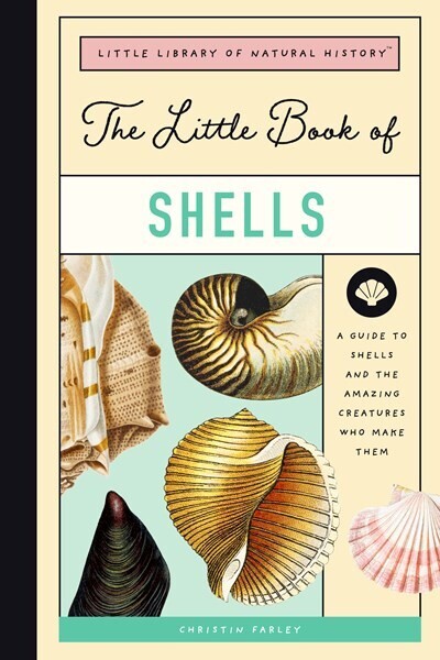 Little Book Of Shells 
