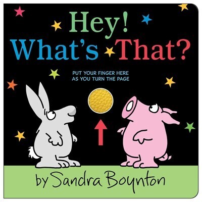 Hey! What's That?  Sandra Boynton Board Book
