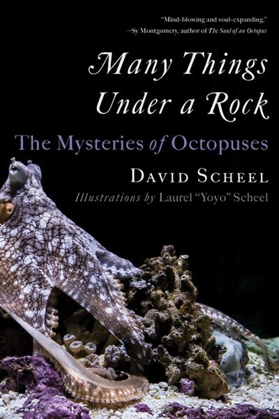 Many Things Under a Rock :The Mysteries of Octopuses