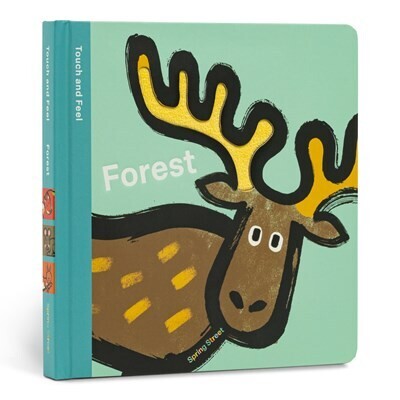 Spring Street Touch and Feel: Forest Board book