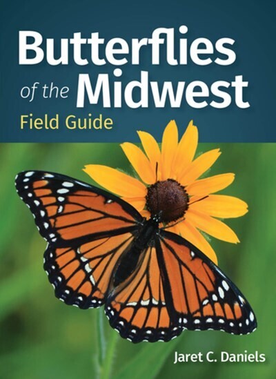 Butterflies of the Midwest