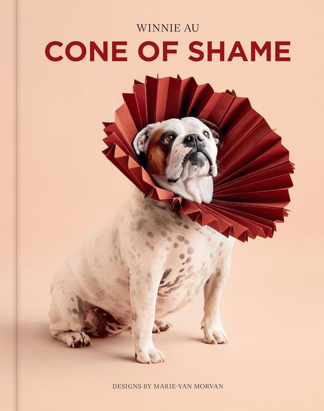 Cone of Shame: Elevated Looks that Will Turn Heads