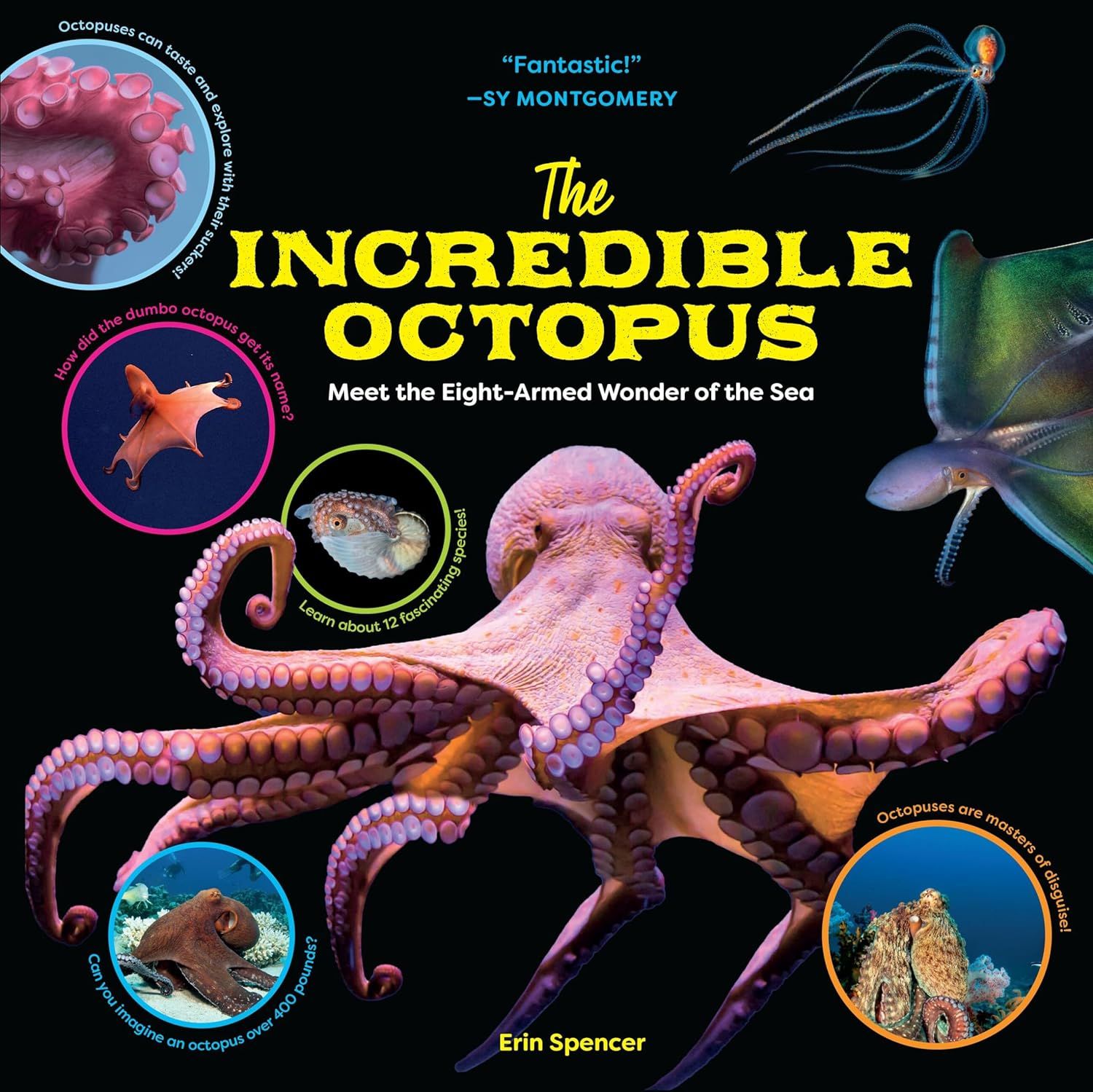 Incredible Octopus: Meet the Eight-Armed Wonder of the Sea
