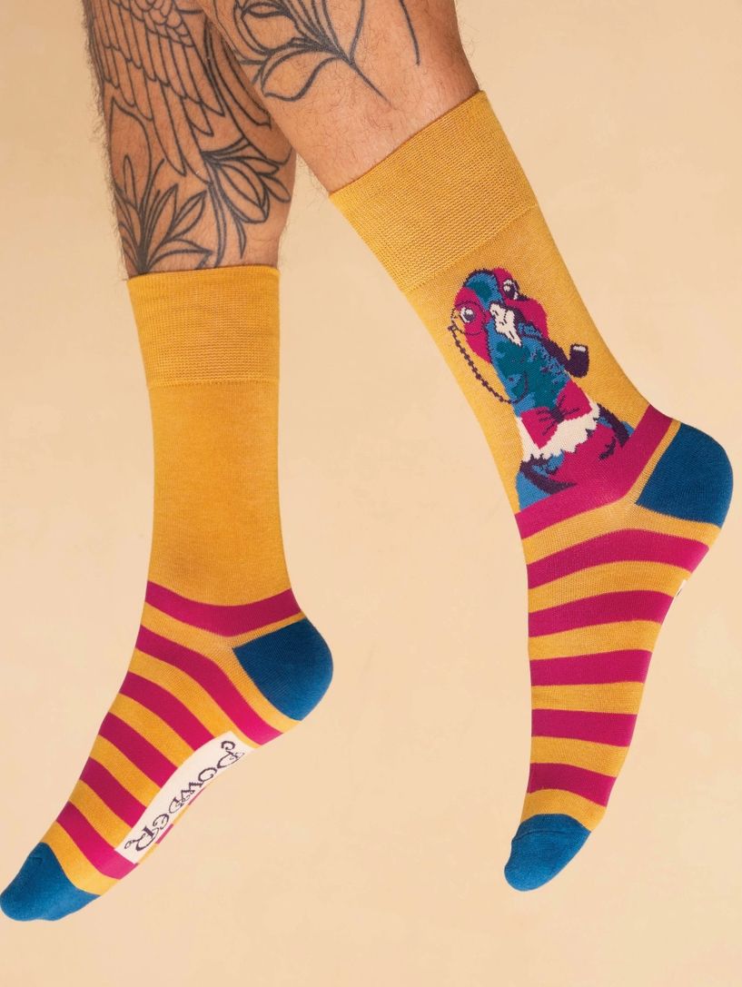 Men&#39;s Bamboo Socks, Gentry Pheasant
