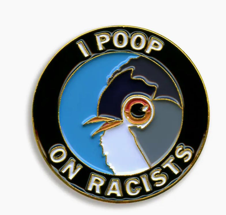 I Poop on Racists Pin