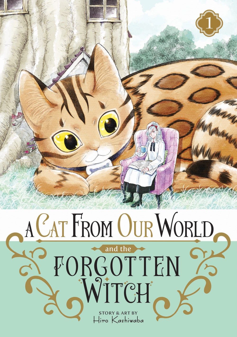 Cat from Our World and the Forgotten Witch: Vol 1