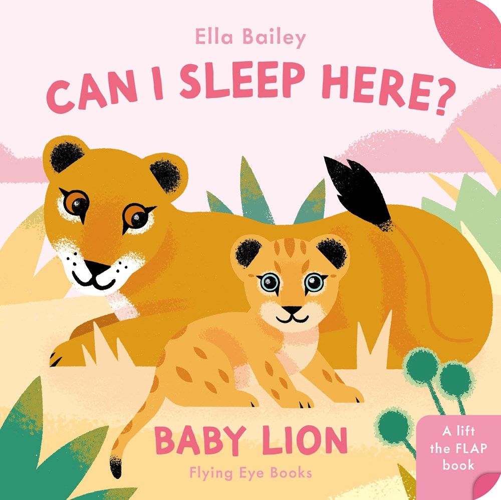 Can I Sleep Here Baby Lion Board Book