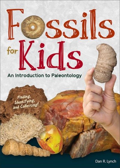 Fossils For Kids