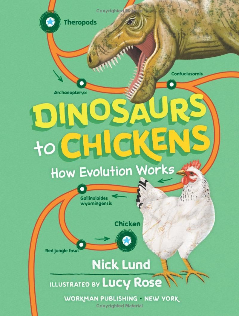 Dinosaurs to Chickens: How Evolution Works