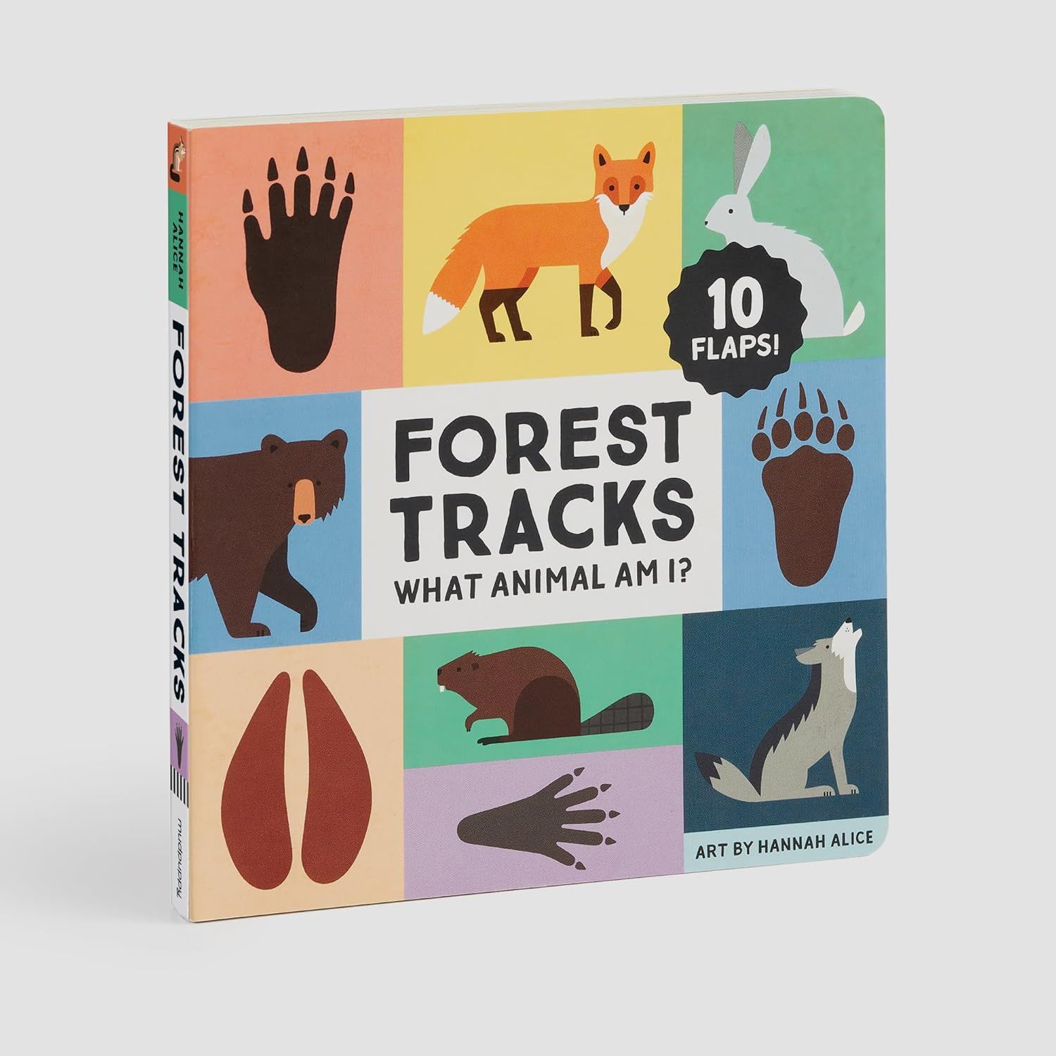 Forest Tracks: What Animal Am I?