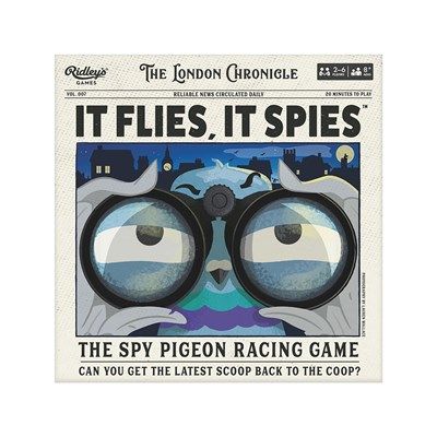It Flies, It Spies Racing Game