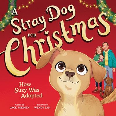 Stray Dog for Christmas: How Suzy was Adopted