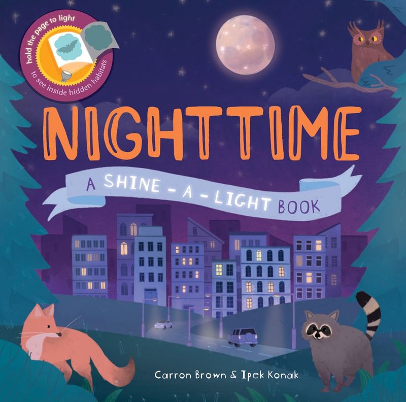 Shine A Light - Nighttime