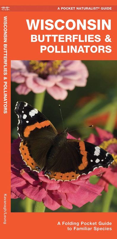 Wisconsin Butterflies &amp; Pollinators