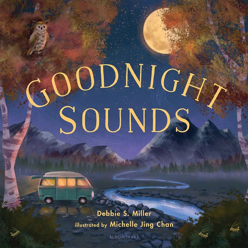 Goodnight Sounds Picture Book