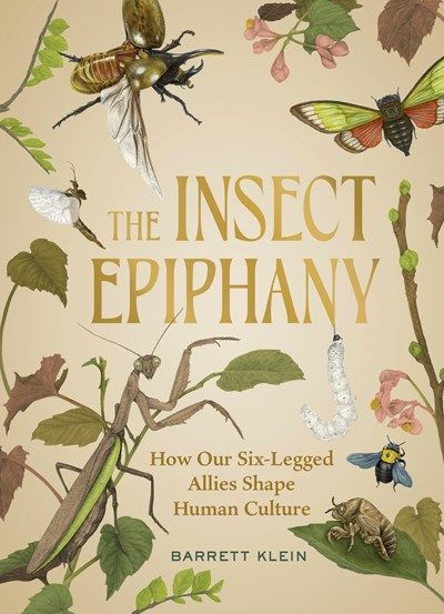 Insect Epiphany 