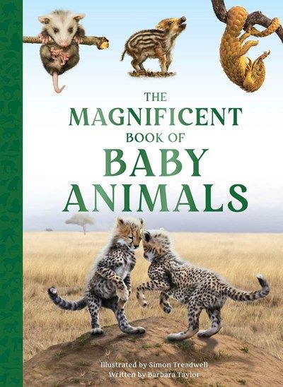 Magnificent Book Of Baby Animals 