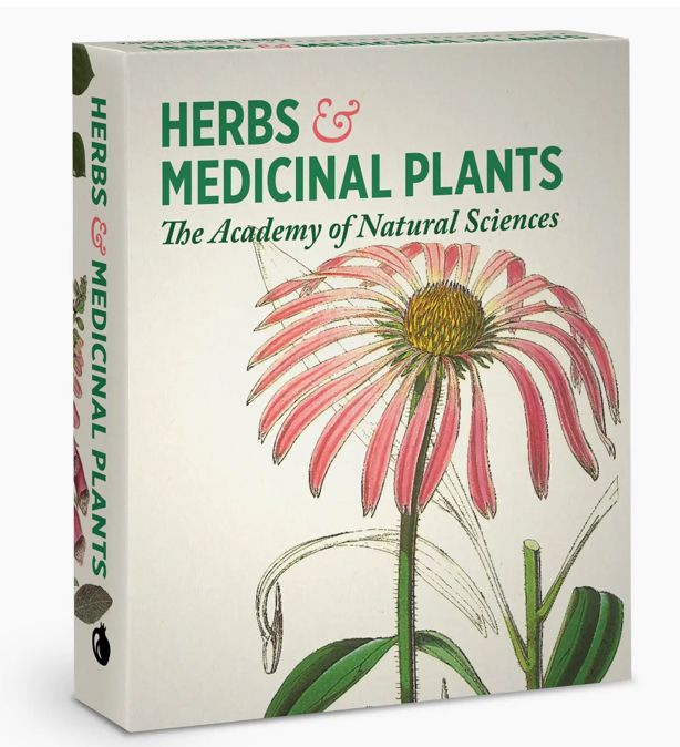 Herbs and Medicinal Plants Knowledge Cards