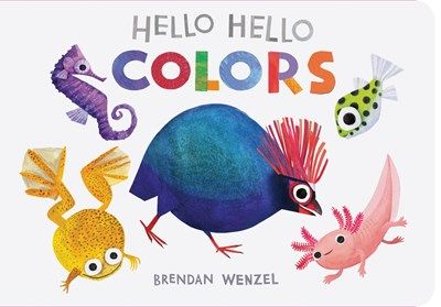 Hello Hello Colors Board Book