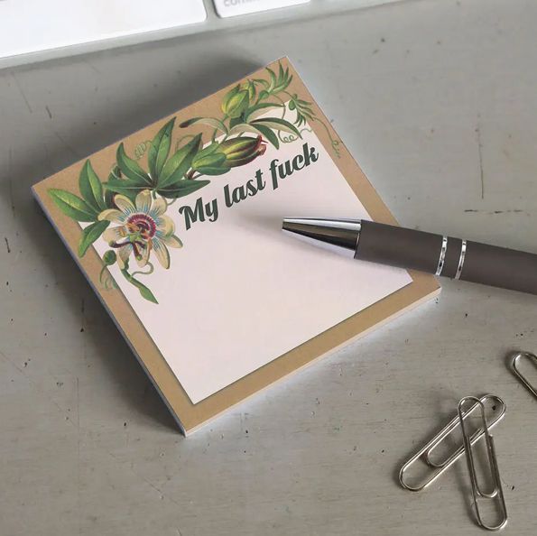 My Last Fuck Funny Sacastic Sticky Note