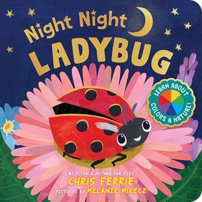Night Night Ladybug Board Book