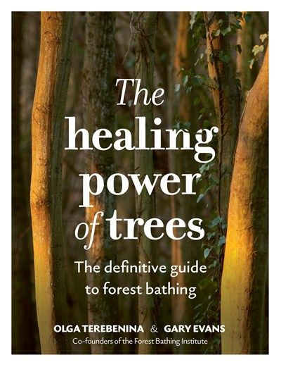 Healing Power of Trees