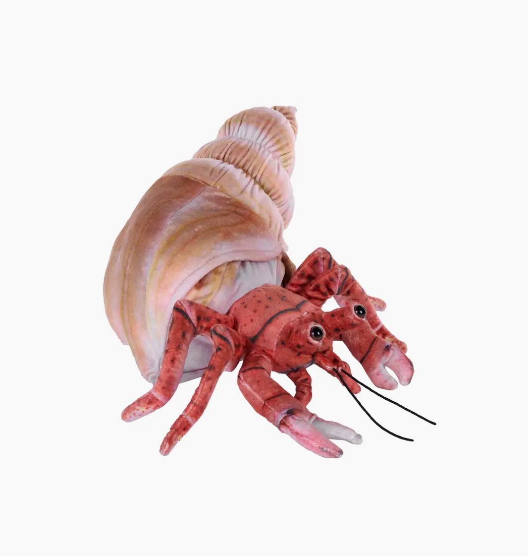 Living Hermit Crab Stuffed Anminal