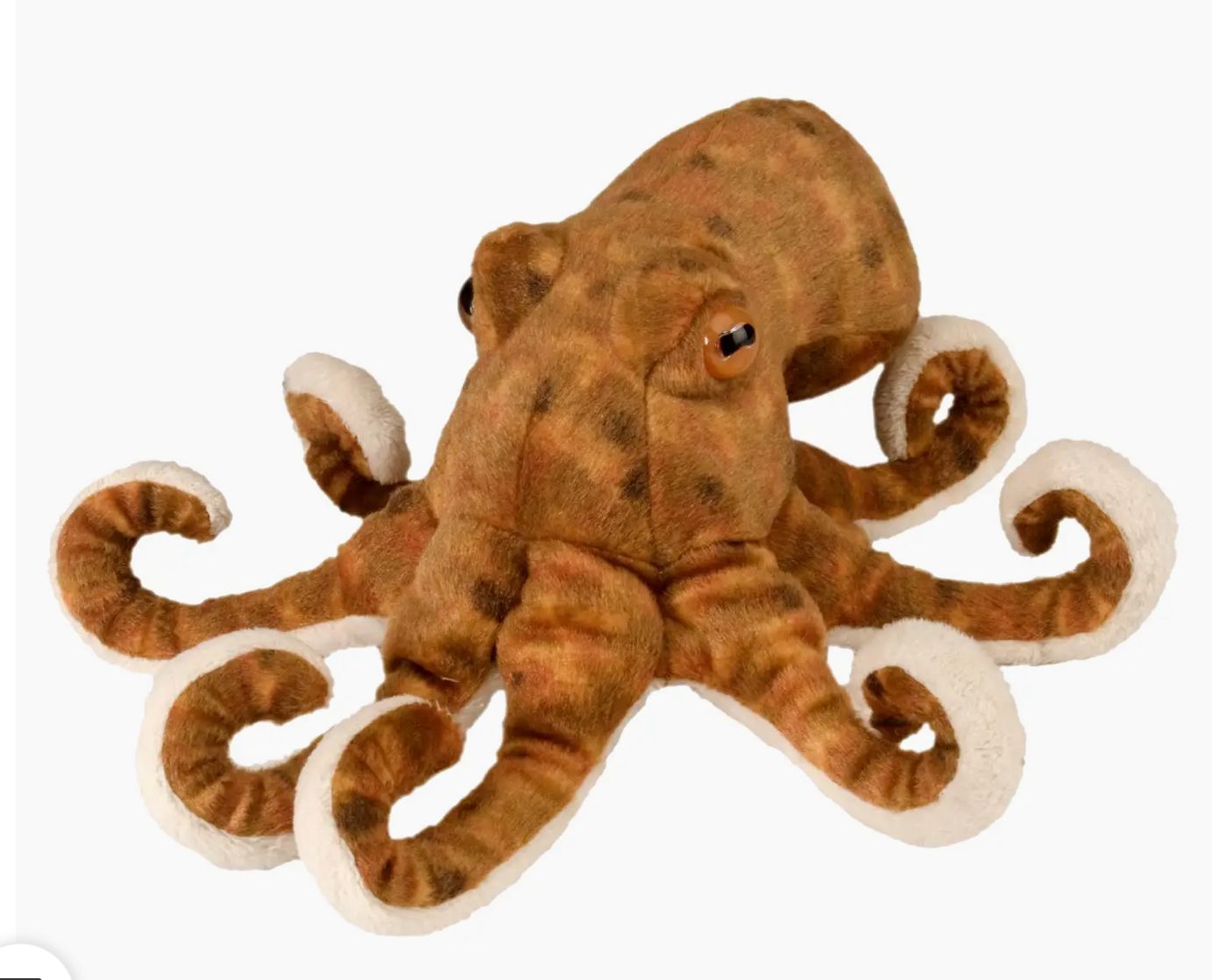 Mini Octopus Brown