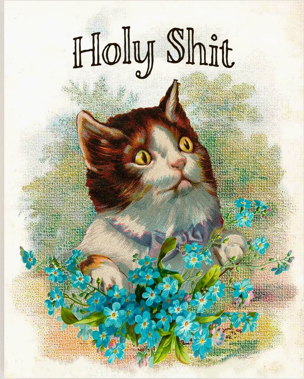 Kitty Cat Holy Shit Funny Card 